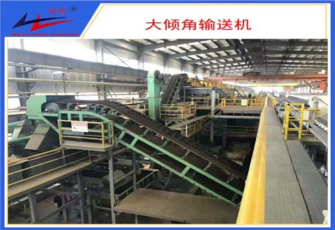 海洋之神-大倾角皮带机Y