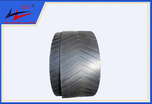 海洋之神-花纹运送带