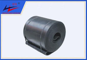 海洋之神-环形运送带