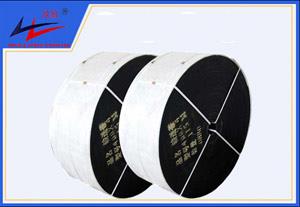 海洋之神-聚酯运送带